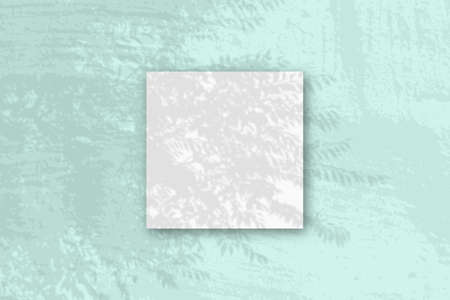 Natural light casts shadows from an exotic planton square sheet of white textured paper lying on a...