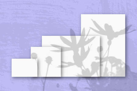Several horizontal and vertical sheets of white textured paper against a pink wall background....