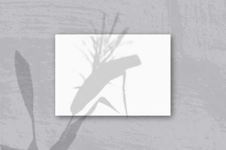 A horizontal A4 sheet of white textured paper on the gray wall background. Mockup overlay with the...
