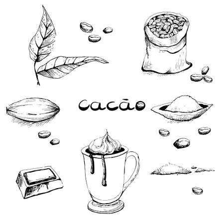 Leaves, fruits, beans, cocoa tree powder, a glass with a drink, a piece of chocolate. A set of black-and-white images in the style of hand-drawn graphics. Vector illustration, sketch.のイラスト素材