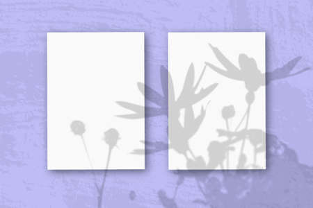 2 vertical sheets of textured white paper on soft blue table background. Mockup with an overlay of...