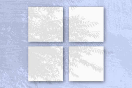 Natural light casts shadows from an exotic planton 4 square sheets of white textured paper lying on...