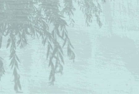 Natural light casts shadows from an willow branch on the blue-greeen wall background. Shadow overlay effect.の写真素材