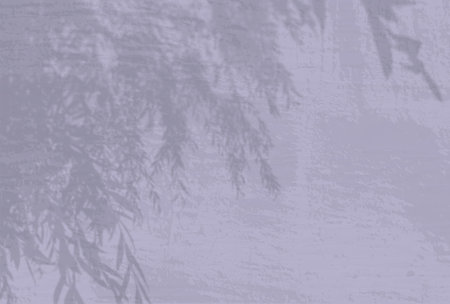 Natural light casts shadows from an willow branch on the lilac wall background. Shadow overlay...