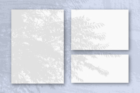 Several horizontal and vertical sheets of white textured paper against a blue wall background. Mockup with an overlay of plant shadows. Natural light casts shadows from an exotic plant.の写真素材