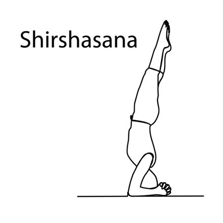 Doodle yoga pose in vector. Drawn yoga pose stand on the head of Shirshasana in vector. Line art.のイラスト素材