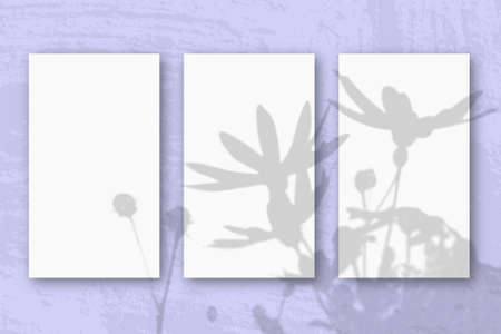 3 vertical sheets of textured white paper on soft blue table background. Mockup overlay with the...