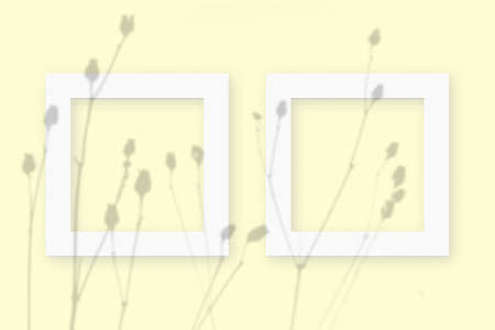 Mockup with vegetable shadows superimposed on 2 square frames of textured white paper on a yellow...