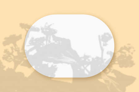 Mockup with plant shadows superimposed on an oval sheet of textured white paper on a beige table...