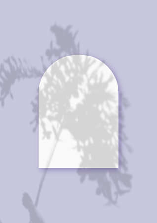 Mockup with vegetable shadows superimposed on a sheet in the shape of an arch of textured white...