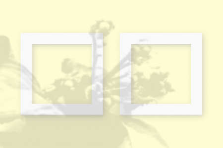 Mockup with vegetable shadows superimposed on 2 square frames of textured white paper on a yellow...