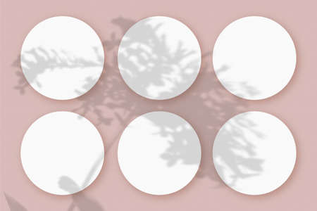 Mockup with vegetable shadows superimposed on 6 round sheets of textured white paper on a pink table...