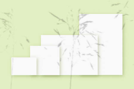 Mockup with plant shadows superimposed on several horizontal and vertical sheet of textured white...