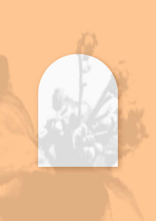Mockup with vegetable shadows superimposed on a sheet in the shape of an arch of textured white paper on a orange table background. Vertical orientationの写真素材