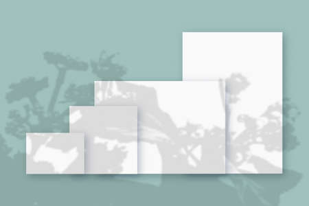 Mockup with plant shadows superimposed on several horizontal and vertical sheet of textured white paper on a blie-green table backgroundの写真素材