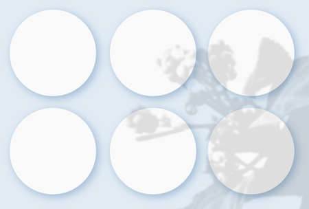 Mockup with vegetable shadows superimposed on 6 round sheets of textured white paper on a blue table...