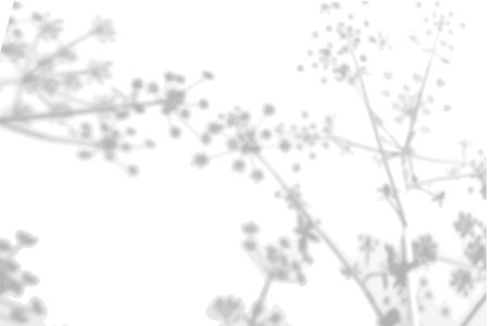 Summer background from the shadow of a sprig of field grass on a white wall. White and black for photo or mockupのイラスト素材