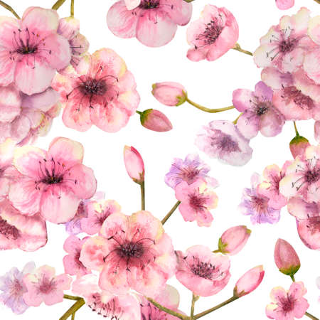 Seamless pattern with blossoming sakura branches on a white background. Watercolor illustration drawn by handの写真素材