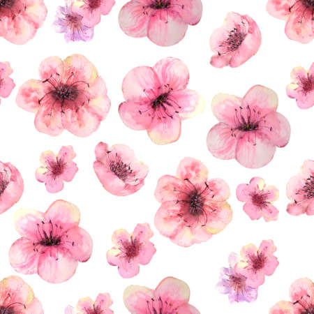 Seamless pattern with blossoming sakura branches on a white background. Watercolor illustration drawn by handの写真素材