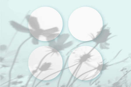 Natural light casts shadows from the plant on 4 round sheets of white textured paper lying on a...