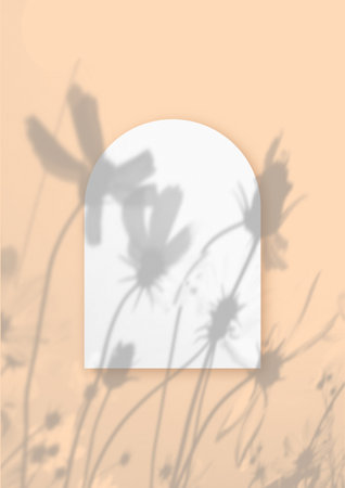 Natural light casts shadows from flowers Cosmea on a sheet of white textured paper in the shape of an arch on a blue background of the wall. Flat lay, top view. Vertical mockup.の写真素材