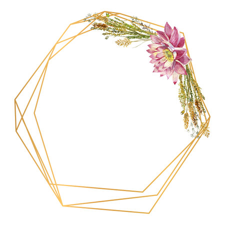 A polygonal frame with flowers of water lilies and wild forest grasses. Watercolor illustration on a white background.の写真素材