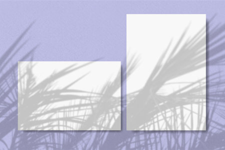 Horizontal and vertical sheets of white textured paper against a violet wall background. Natural...