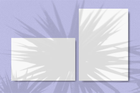 Horizontal and vertical sheets of white textured paper against a violet wall background. Natural...