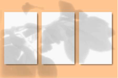 3 vertical sheets of textured white paper on grey table background. Mock up with an overlay of plant shadows.の写真素材