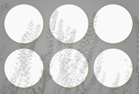 Natural light casts shadows from wild grasses on 6 round sheets of white textured paper lying on a...