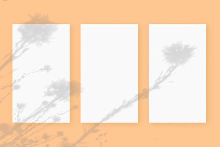 Natural light casts shadows from wildflowers on 3 sheets of white paper lying on a orange...