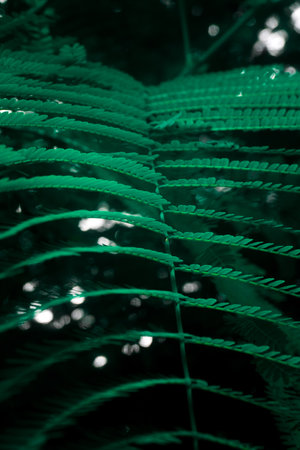 Abstraction of beautiful colorful tropical leaves. Vertical shot. High quality photo