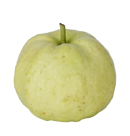 Whole sinfgle fresh guava isolatedの写真素材