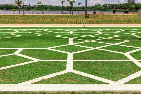 green field on daylight time