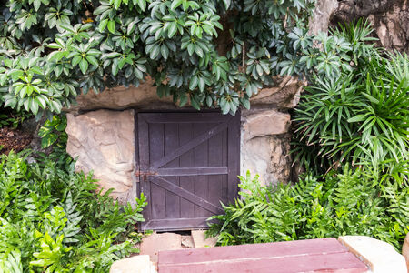 Wood door in natural on daytimeの写真素材