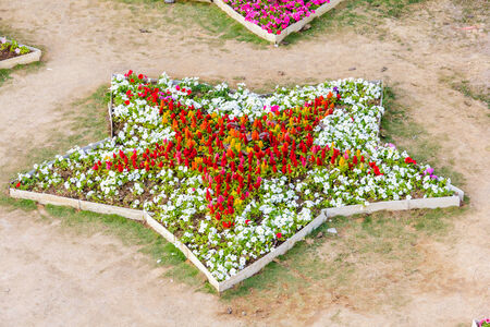 various flower on garden pubic,out doorの写真素材