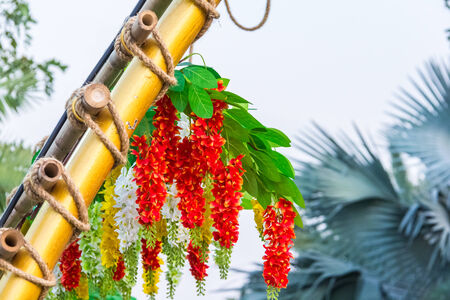 various flower on garden pubic,out doorの写真素材