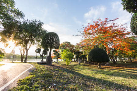 Garden view near lake on evening timeの写真素材