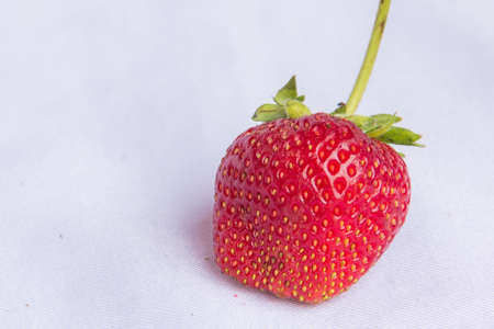 Fresh res strawberryの写真素材