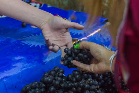 trader buy dark violet grade in fresh marketの写真素材