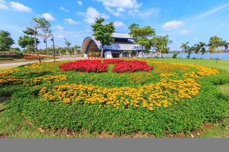 beautiful fresh flowers in garden public in daytimeの写真素材