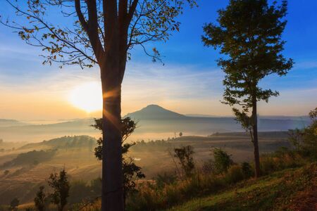 Khao takhian ngo with misty around at khao kho in phetchabun provinceの写真素材