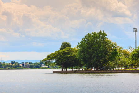 green tree on garden near big lake in cityの写真素材