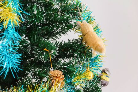 christmas tree isolated on white backgroudの写真素材