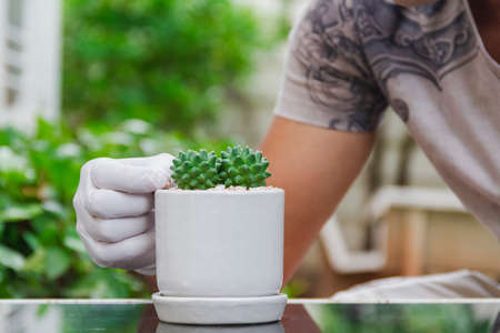 Asian man is planting castus in a pot on a glass table at home garden
