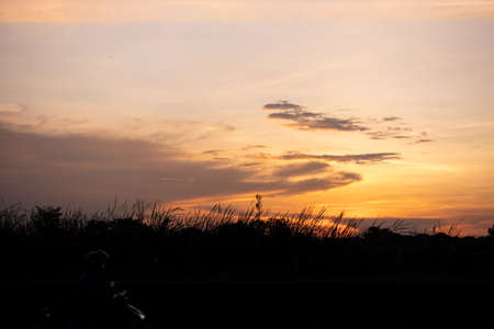 view of the tree Silhouette against the sunset with golden light on sky at evening timeの写真素材