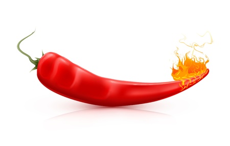 Hot peppers with flamesのイラスト素材