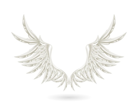 White wingsのイラスト素材