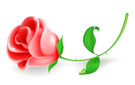 Roseのイラスト素材