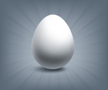 Egg illustrationのイラスト素材